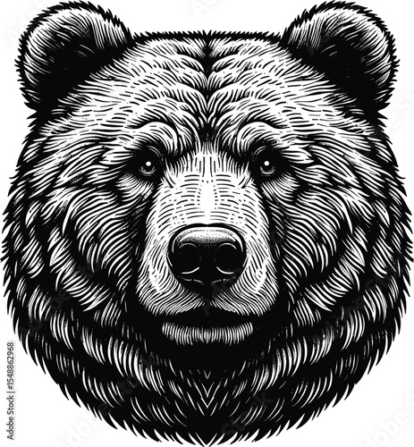 Bear vector black silhouette print design
