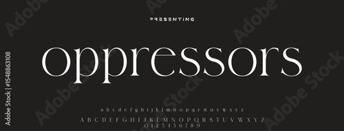 Luxury serif font in modern style. Elegant wedding alphabet letters font and number. Typography Luxury classic lettering serif fonts decorative vintage retro logo