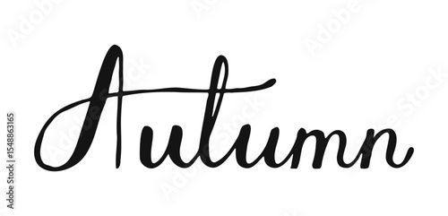 Autumn word hand drawn brush lettering. Fall poster Templates. Isolated Typographic Design with black text for shop, discount, sale, flyer, decoration