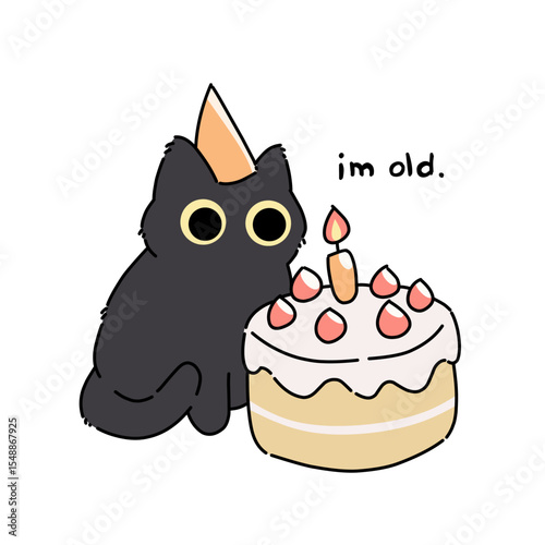 Black cat and birthday cake with funny quote "I'm old"