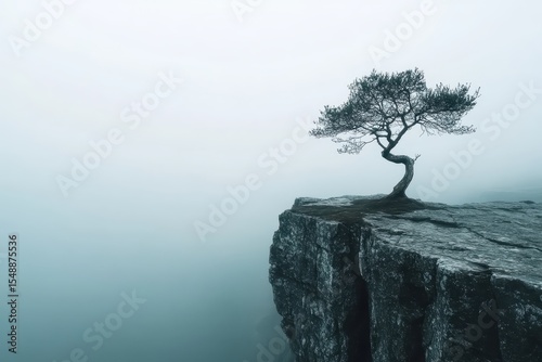 Solitary Tree on a Cliff Edge in Foggy Morning Light.