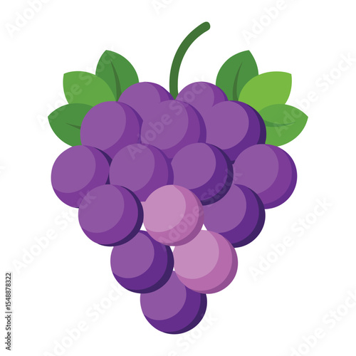 Purple grapes bunch