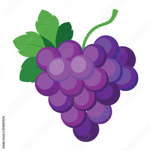 Purple grapes bunch