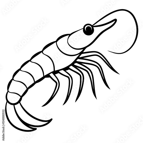 Clean Shrimp Linework
