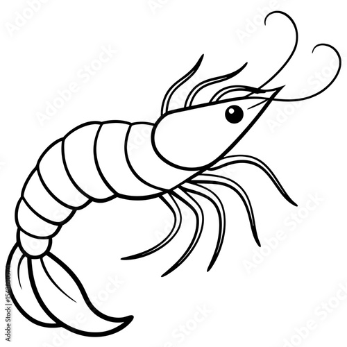 Clean Shrimp Linework