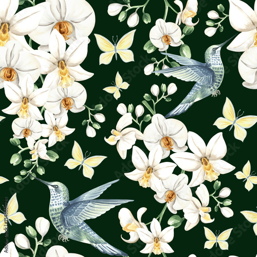 Flying hummingbird with white orchid flowers and butterflies watercolor illustration. Hand drawn seamless pattern with tropical phalaenopsis and bird. Botanical template for jungle exotic background.