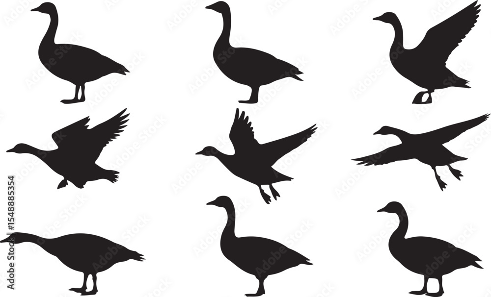 Fototapeta premium Goose Silhouette Vector Illustration Set for Wildlife and Nature Theme