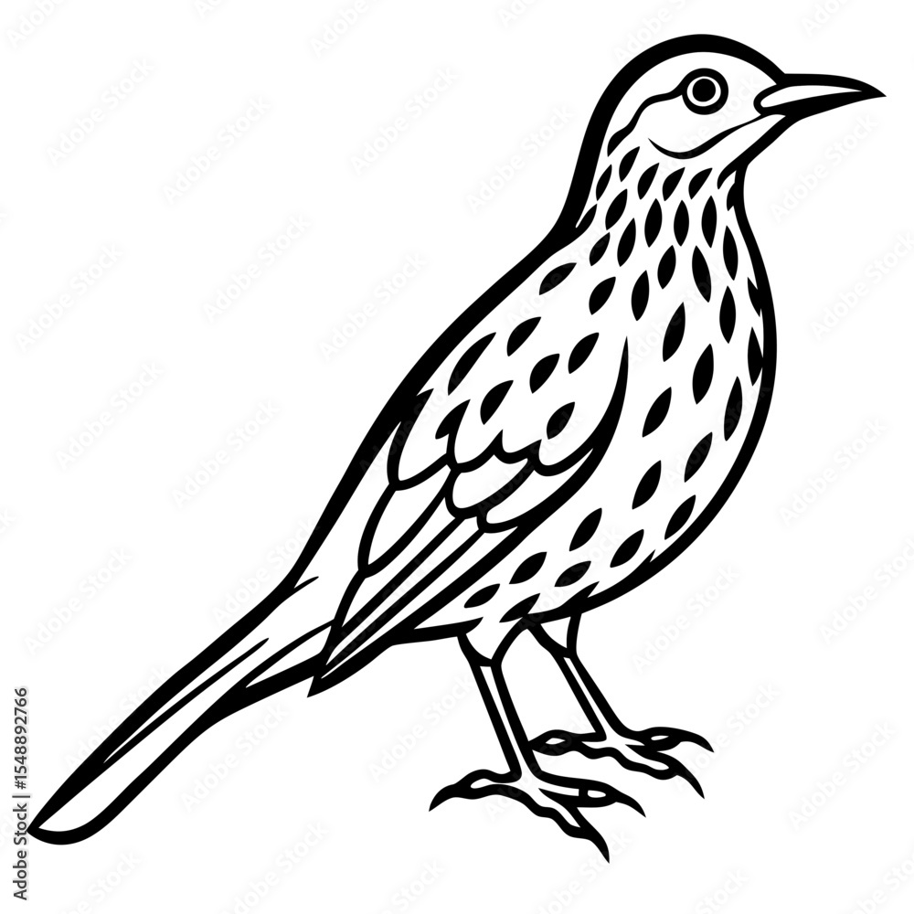 Fototapeta premium Elegant Thrush Bird Line Art