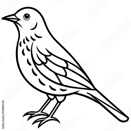Elegant Thrush Bird Line Art
