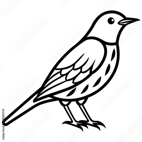 Elegant Thrush Bird Line Art