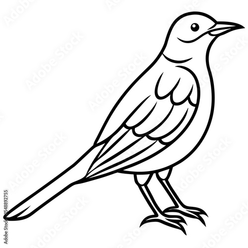 Elegant Thrush Bird Line Art