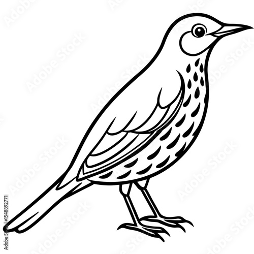 Elegant Thrush Bird Line Art