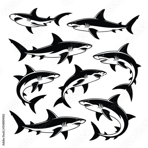 Eight Great White Sharks: A Monochrome Collection