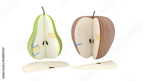 A stylized illustration of a pear and an apple, showcasing their cross-sections with colorful layers.