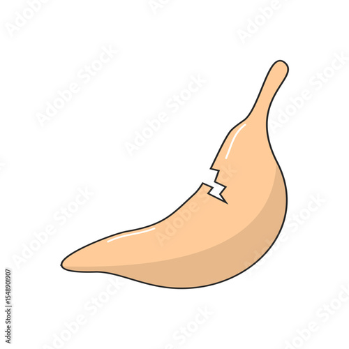 stomach disease illustration