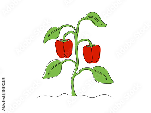 Abstract paprika bush in the garden,on the farm,agriculture,cottage. continuous single one line art drawing sketch, logo