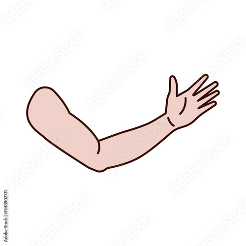 Arm icon