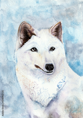 Illustration of a white wolf, a dog in watercolor. Animal has fluffy fur, drawn with various doodle lines and dots. Different shades of blue, brown, black colors. Background of various shades of blue.