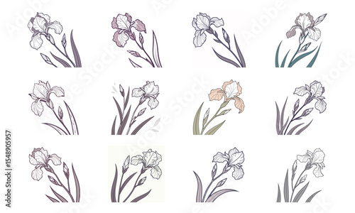 Bundle An Iris Flower Artistic Floral Vector Soft Color An Iris Flower Artist