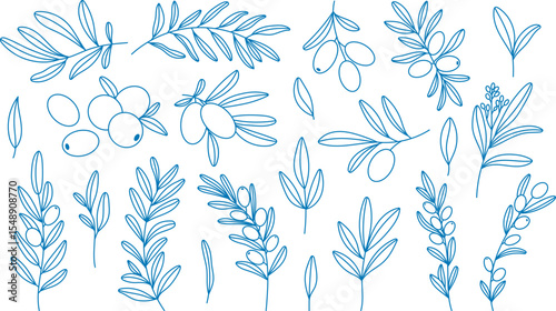 Mediterranean outline blue olive branch set