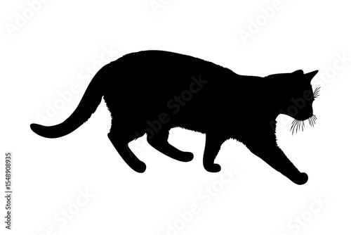 Silhouette of a walking cat isolated on white background