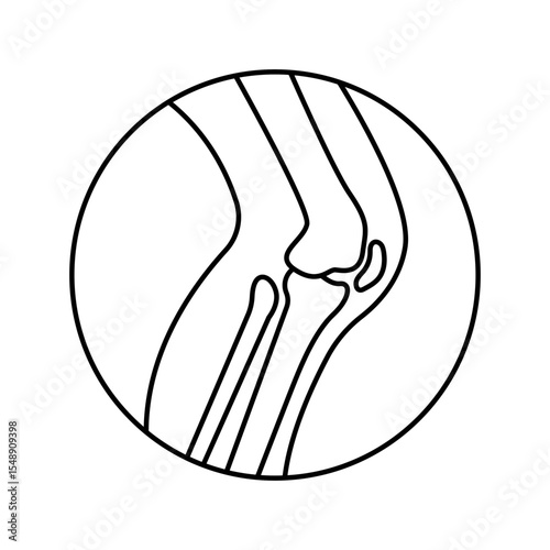 Human Leg icon