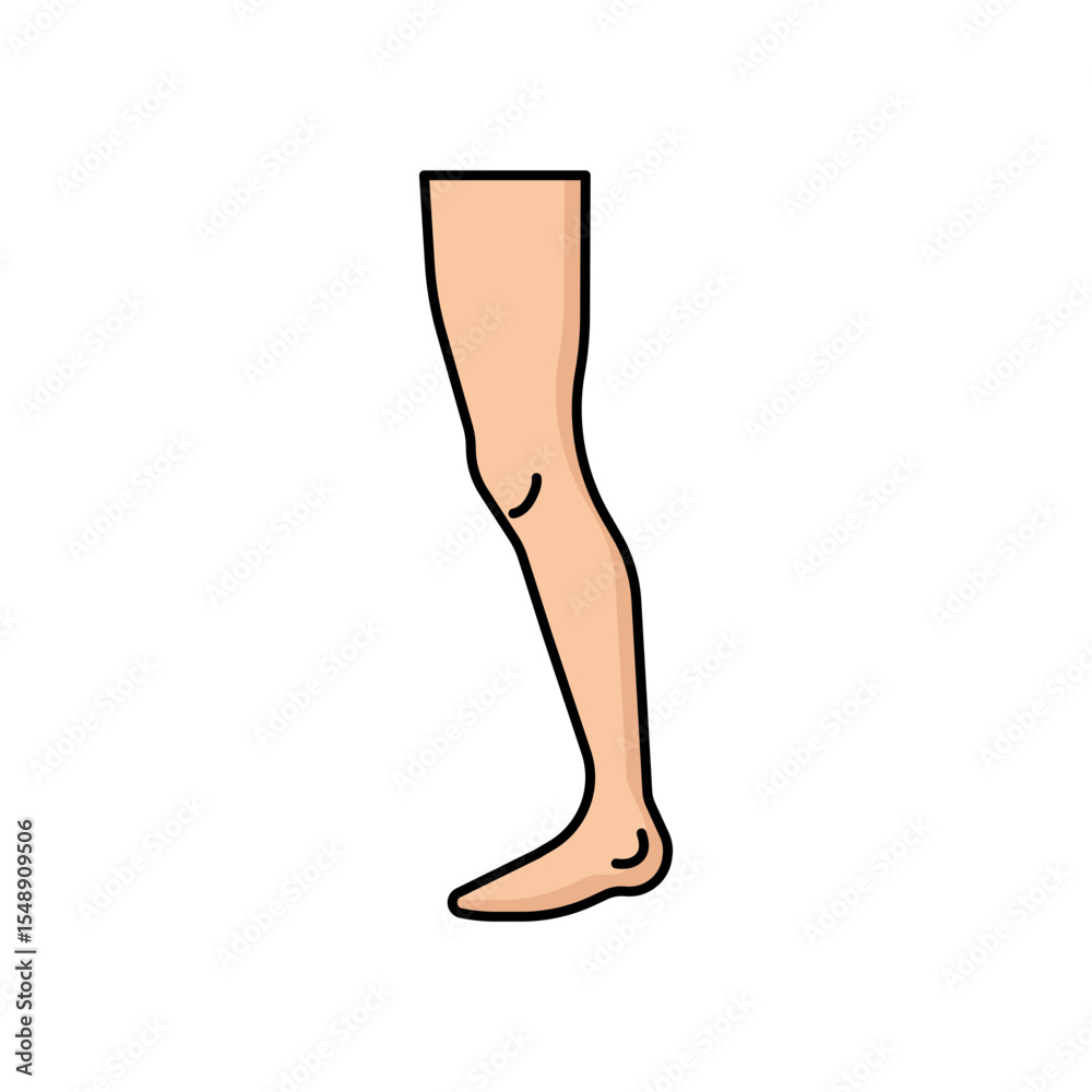 Human Leg icon Human Leg icon