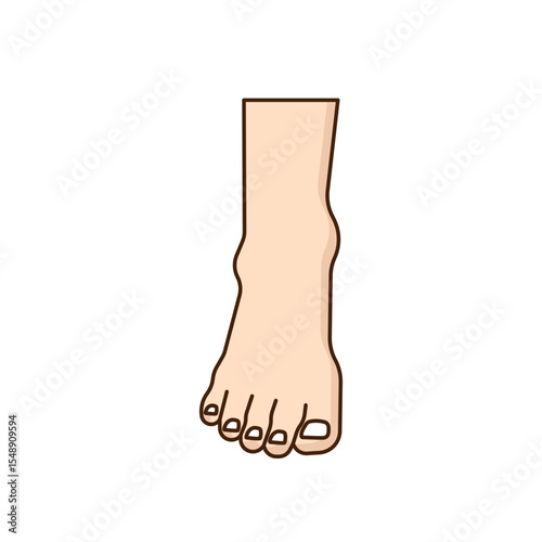 Human Leg icon