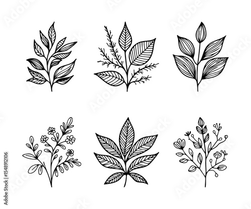 Hand-drawn Floral Elements Collection