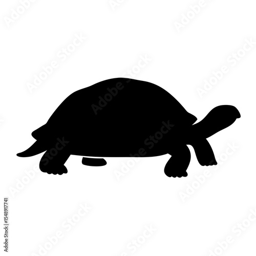 Black silhouette illustration of a turtle walking on a white background