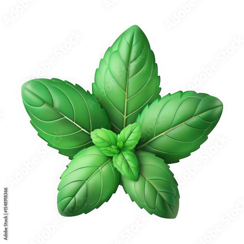 Lush green basil leaves displayed against a dark background isolated on transparent background