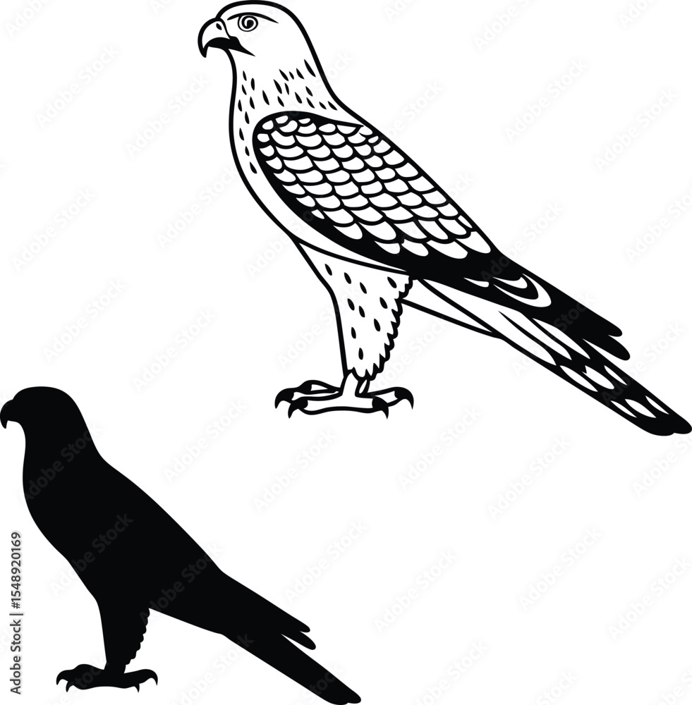 Obraz premium Realistic Hawk Front Pose Vector Illustration