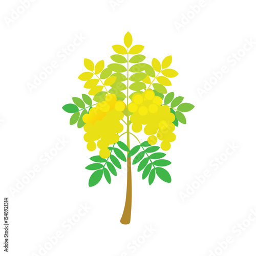vector illustration of a green tree