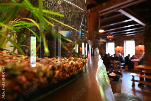 Aquarium in the cafe.