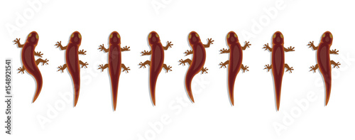 Sierra Newt Moving Animation Frame Sequence Cartoon Character