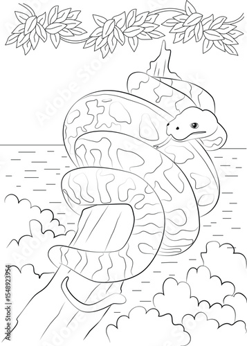 Black and White Line Drawing of a Lazy Snake Coiled Around a Tree Branch Above Water, Simple Outline Illustration Perfect for Coloring Pages or Children's Education Materials