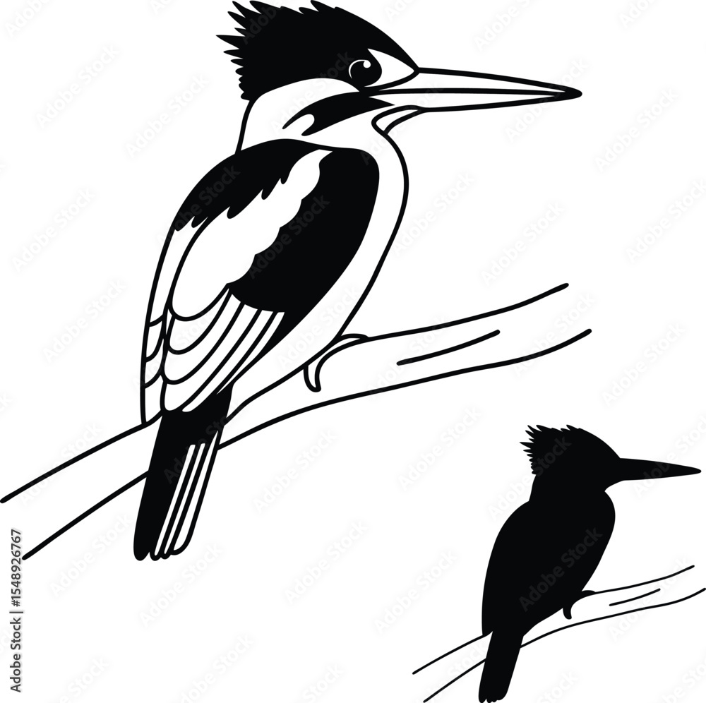 Fototapeta premium Kingfisher Bird with Open Wings Vector Illustration 