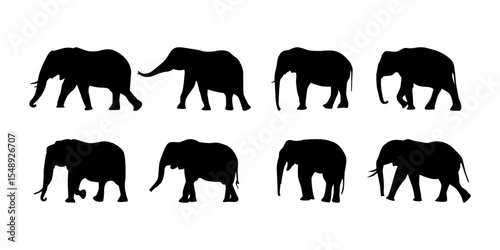 Collection cute wild animal isolated vector silhouettes