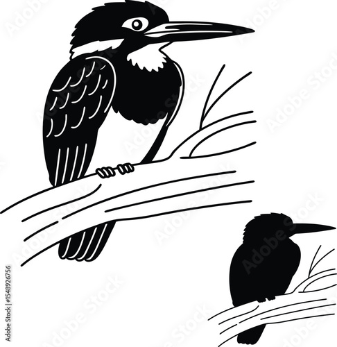 Perched Kingfisher Design Vector Illustration  
