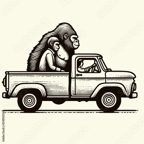 Gorilla couple drive retro truck. Valentine Love Romance Cupid February Clipart Line Art Vector Illustration. Ape pair operate old pickup primate family rides vintage lorry safari.