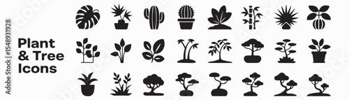 Plant, tree icon set. Vector glyph pictograms of leaf, cactus, bamboo, bonsai, nature, ecology, and landscaping concept, monstera maple black silhouette illustration.