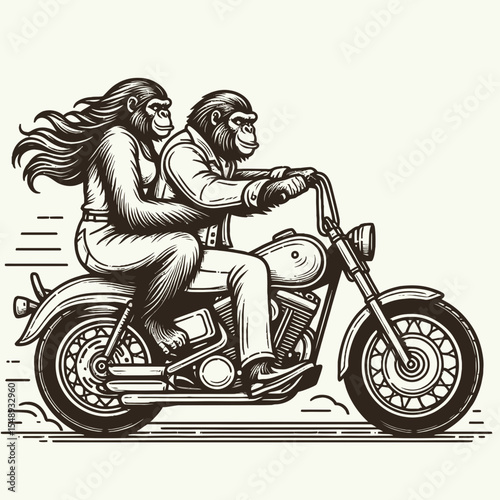 Gorilla couple ride a classic motorcycle. Valentine Love Romance Cupid February Clipart Line Art Vector Illustration. Ape pair journey on vintage motorbike primate duo enjoying motor.