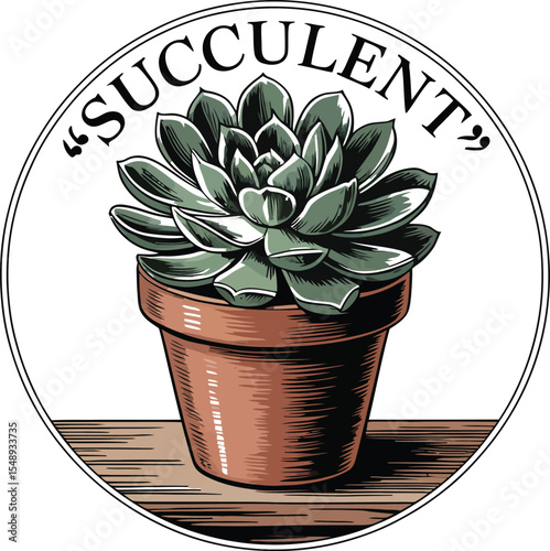 A succulent plant in a pot with the word succulent above it inside of a circle illustration art