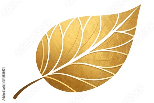 autumn leaf isolated on white background