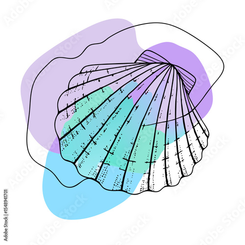 This image is an artistic line drawing of a seashell with abstract color splashes, perfect for blogs about marine life, coastal themes, travel, or minimalist art.

