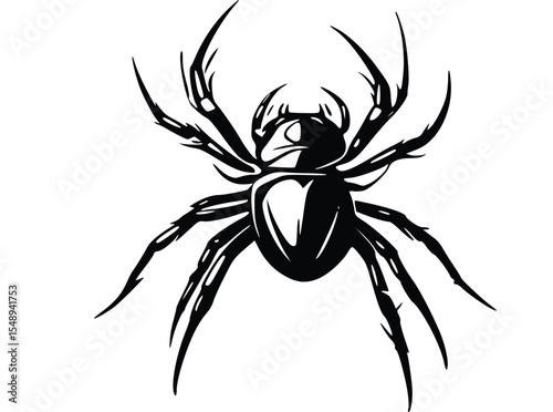 black spider isolated on white