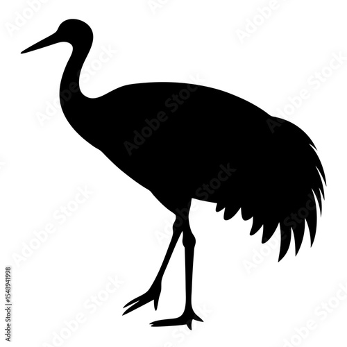 Elegant Silhouette of a Sandhill Crane Standing Gracefully Against a White Backdrop