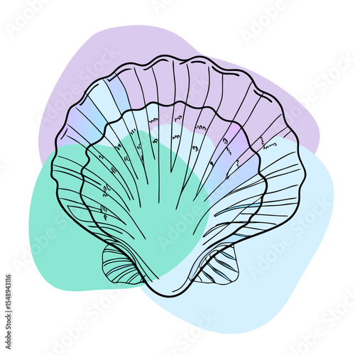 This image features a detailed seashell illustration with abstract color accents, suitable for websites and blogs about marine life, beach themes, travel, or natural science.

