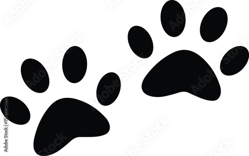 Vector black animal paw prints, isolated on white background, representing pets, animals, dog, cat, footprint, trail, domestic animals, wildlife, cute, and veterinary themes.