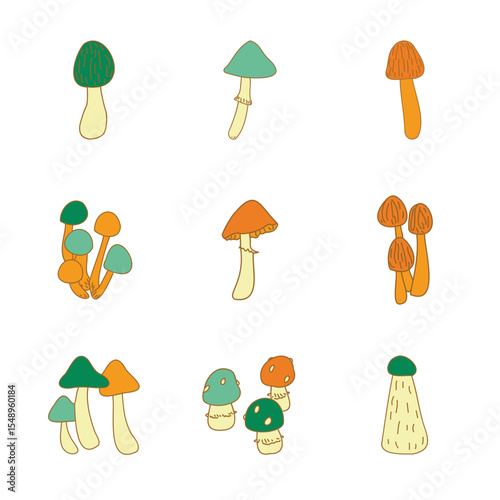 A vector hand-drawn set of mushrooms. Doodle illustration with toadstool and fly agaric.
